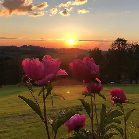 Heavenly Loft Allgaeuer Fillebaenkle * Isny im Allgäu