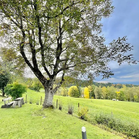Heavenly Loft Allgaeuer Fillebaenkle Apartment Isny im Allgau
